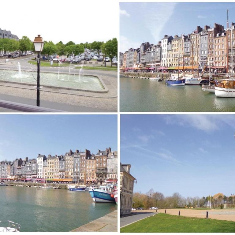 Les Fontaines Saint Leonard - Appartement - 17