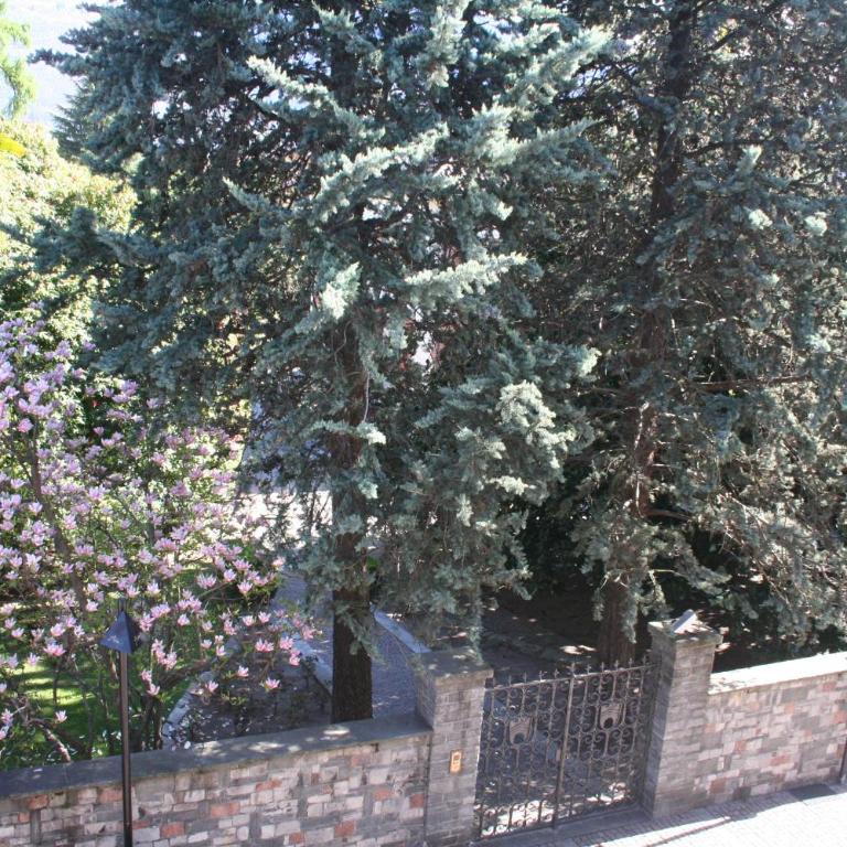 Apartment Irene - Casa Centro - Monolocale Ampio - 12