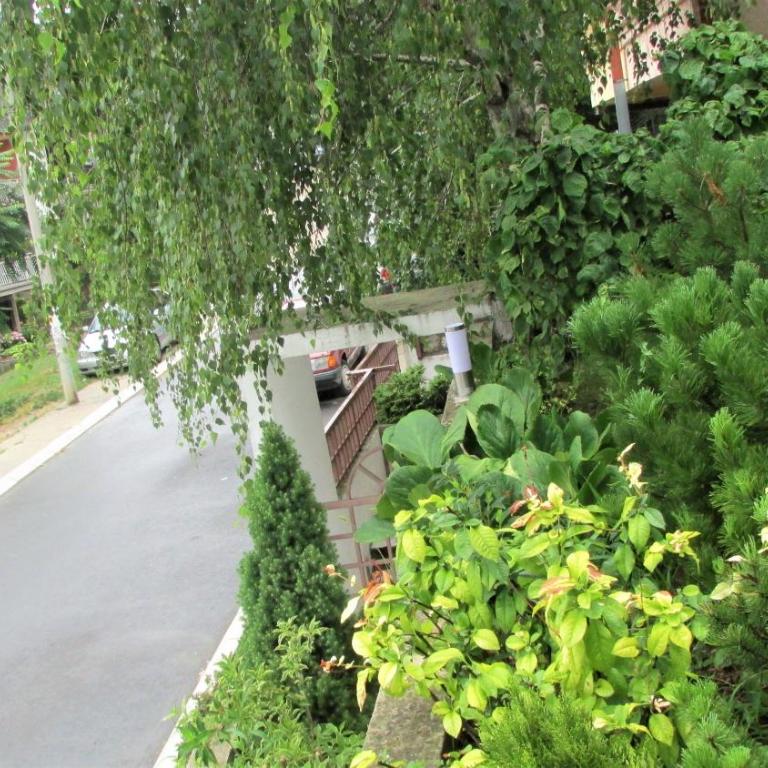 Apartment B&S - Apartment - Ground Floor - 34