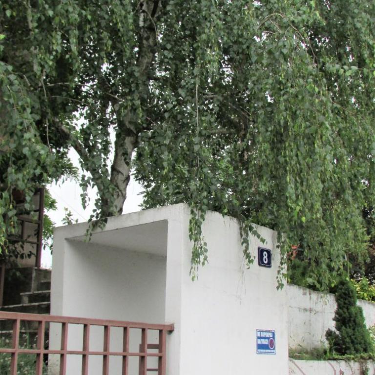 Apartment B&S - Apartment - Ground Floor - 37