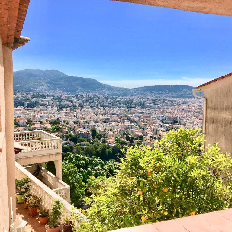 L'Alivu - Appartement - 14