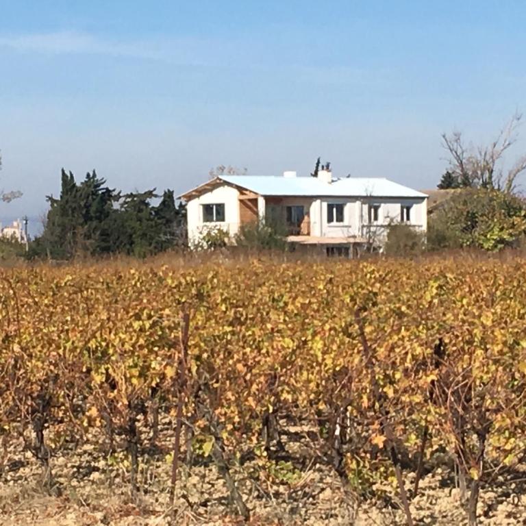 Domaine Limouzy - Maison 3 Chambres avec Terrasse - 22