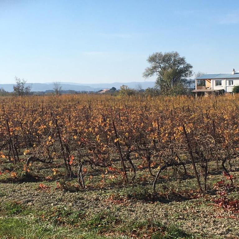 Domaine Limouzy - Maison 3 Chambres avec Terrasse - 20