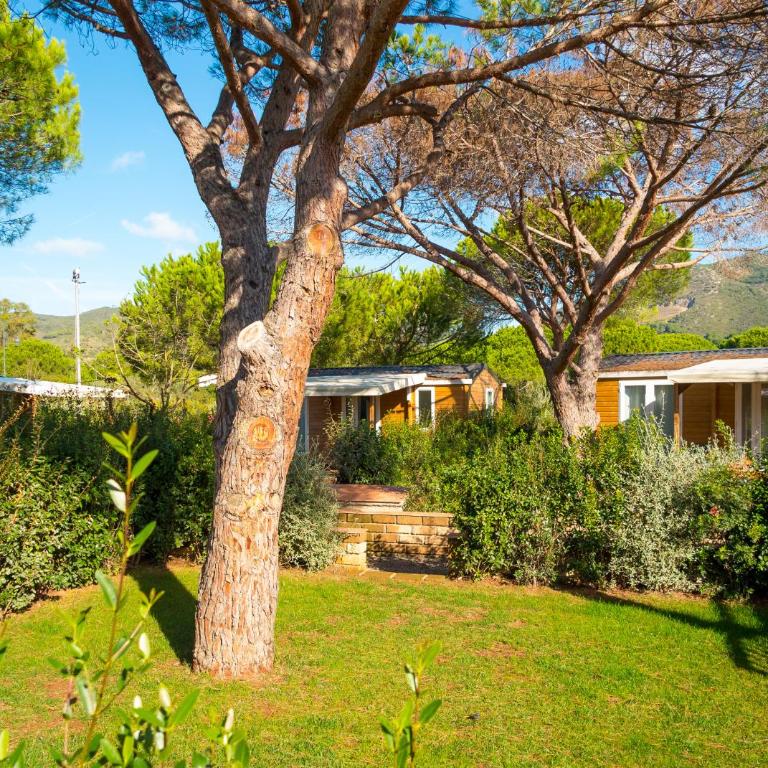 Camping Lacona Pineta - Chalet Comfort - 8
