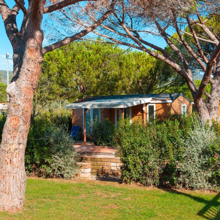Camping Lacona Pineta - Chalet Comfort - 9