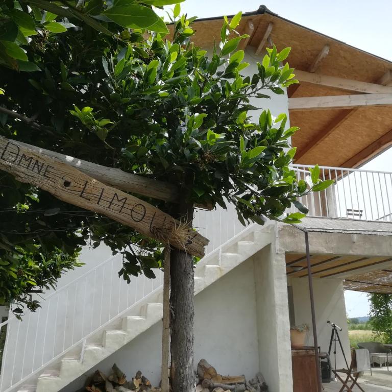Domaine Limouzy - Maison 3 Chambres avec Terrasse - 17