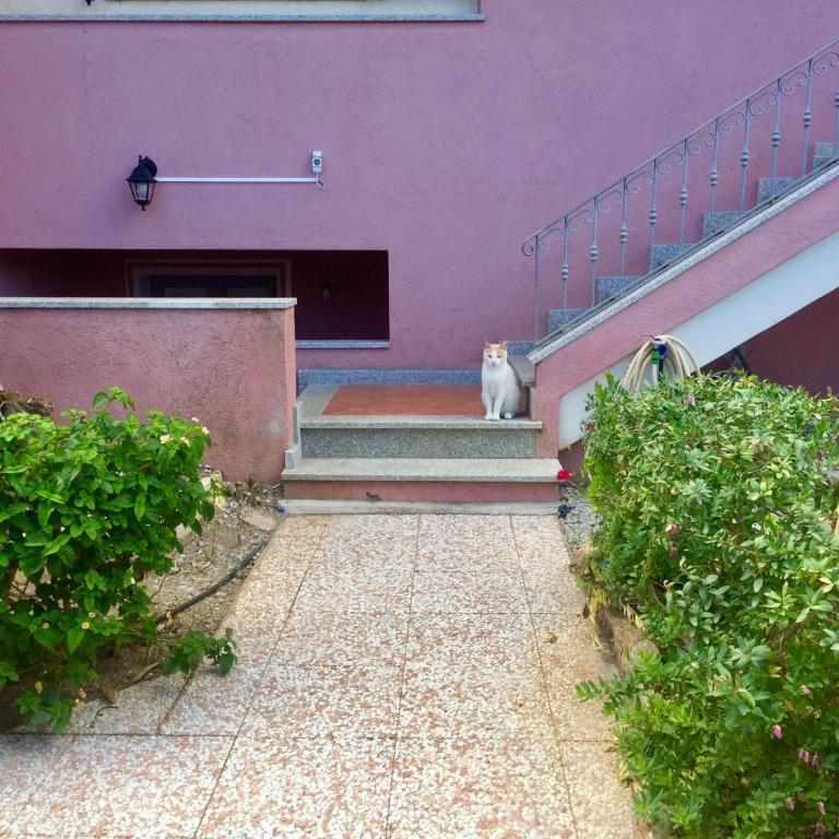 Cycas - Apartment - 12