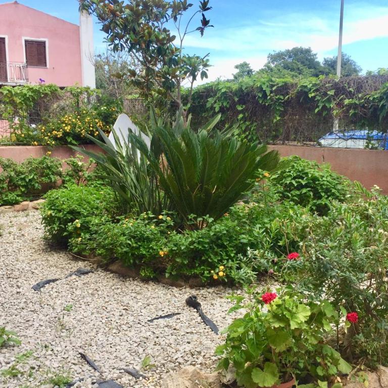 Cycas - Apartment - 14