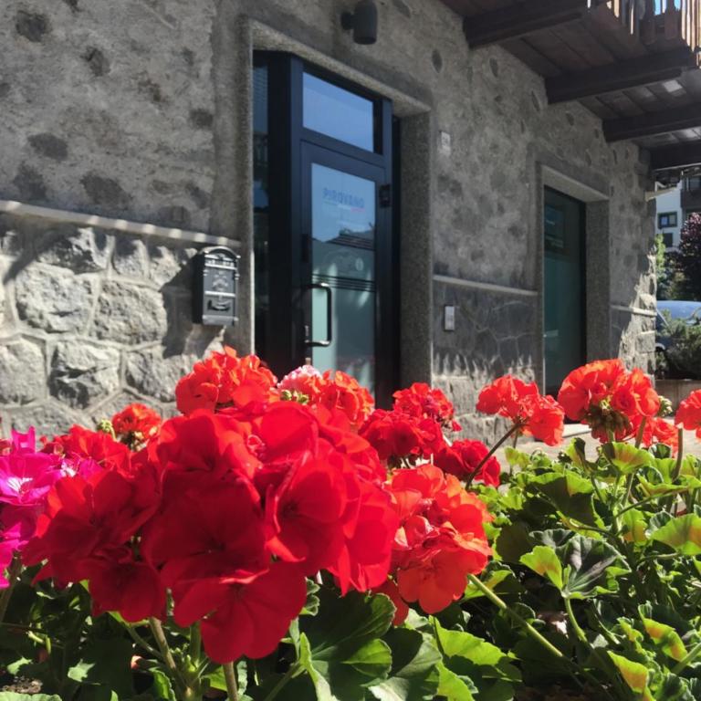 Chalet Felse - Casa Vacanze - 16