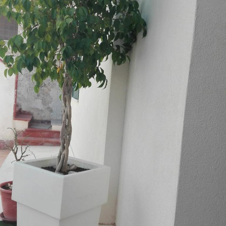 ANTICO CORTILE Favignana - Camera Matrimoniale - 12