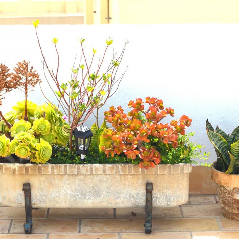 Apartamento El Mirador de Cadiz - Apartamento con terraza - 17