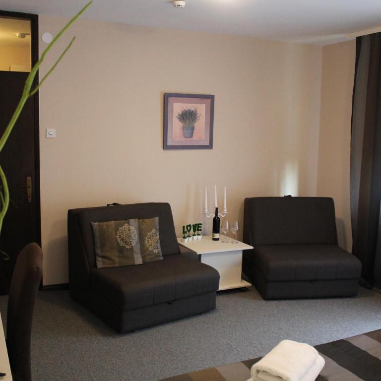 Hotel Danica - Deluks Dvokrevetna Soba sa Bračnim Krevetom/Zasebnim Krevetima i Balkonom - 2