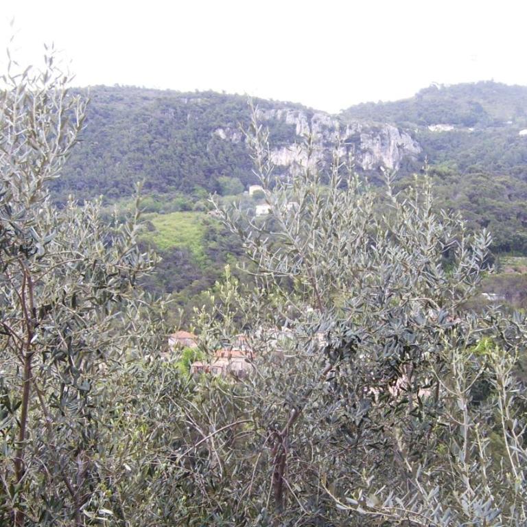 Les lilas blancs - Appartement - 8