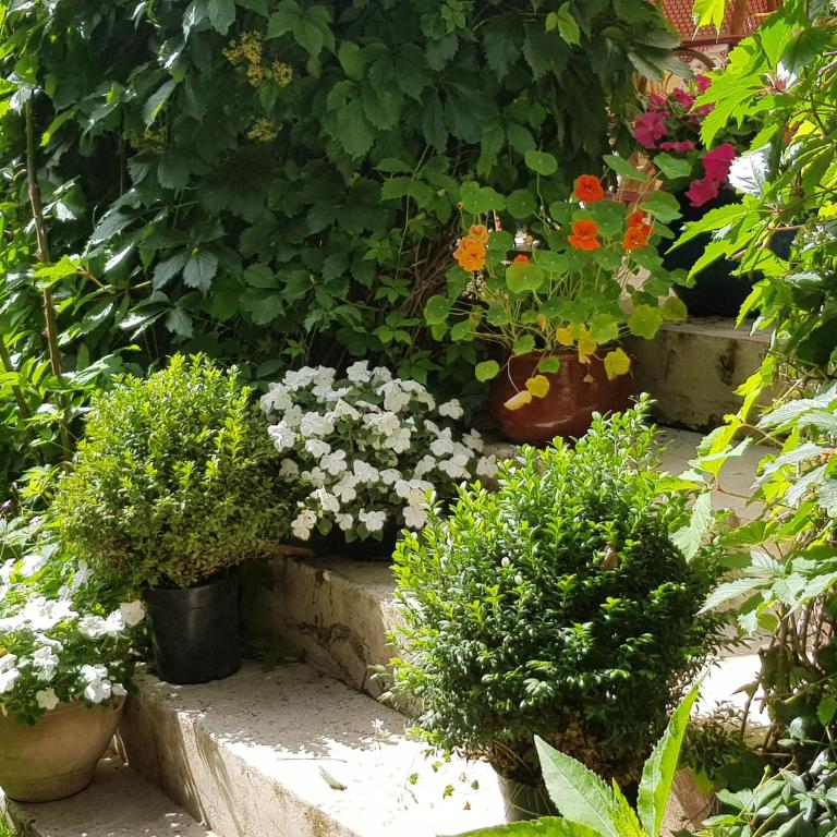 Les Tournesols - Chambre Double - Vue sur Jardin - 2