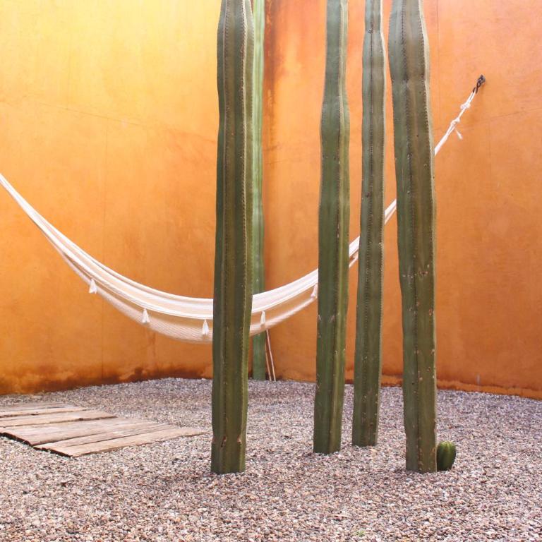 Hotel Cosijo - San Jeronimo Tlacochahuaya - Habitación Doble - 2 camas - 3