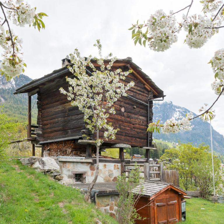 korn-stadel ARIDA PRATA "natur pur" - Chalet - 17