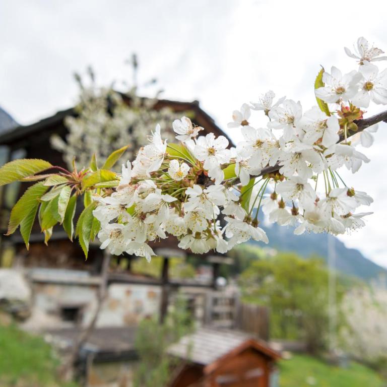 korn-stadel ARIDA PRATA "natur pur" - Chalet - 18