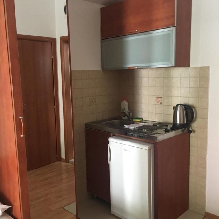 Apartments Manojlovic - Studio Apartman - 11