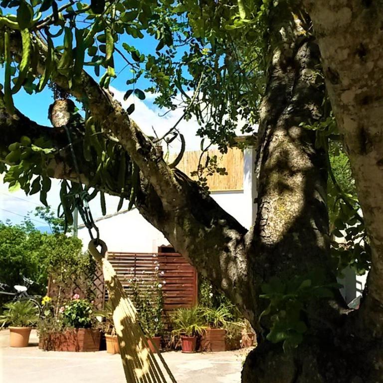 La Casita - Casa - 4