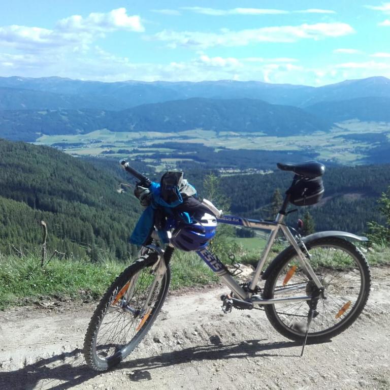 LANDHAUS Pichler - Apartment mit Blick auf die Berge - 35