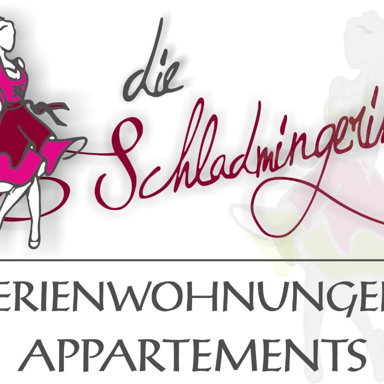 Die Schladmingerin - Apartment mit 3 Schlafzimmern und Balkon - 2
