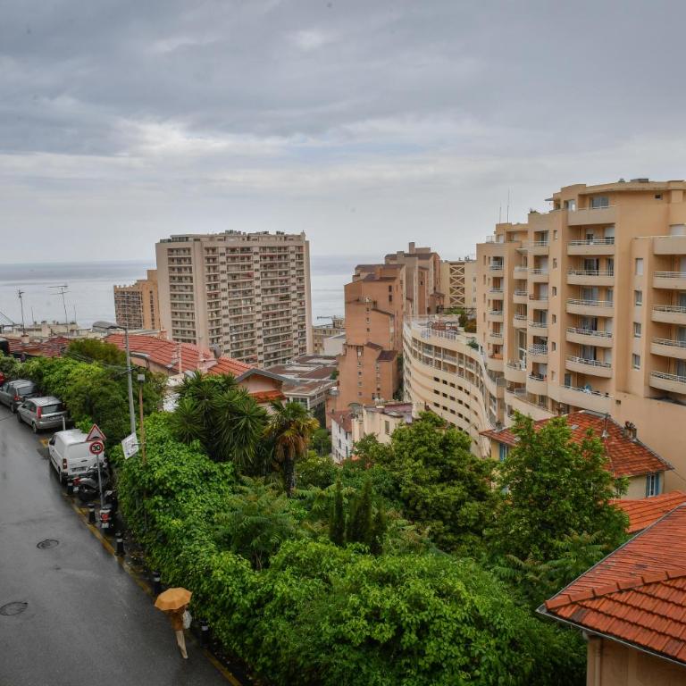 Beautiful Apartment next to Monte Carlo - Appartement - 24