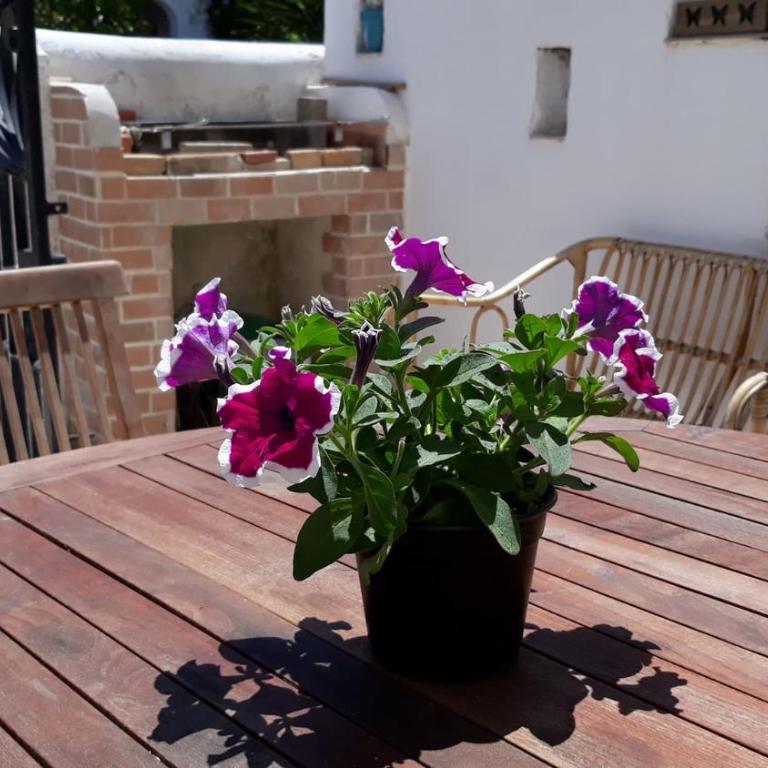 VILLINO DOLORES 30 MT MARE - Casa Vacanze - 3