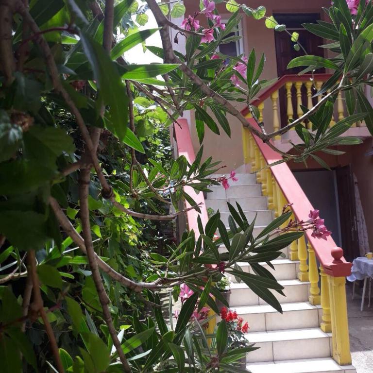 Apartman Tatjana - Apartman - 1