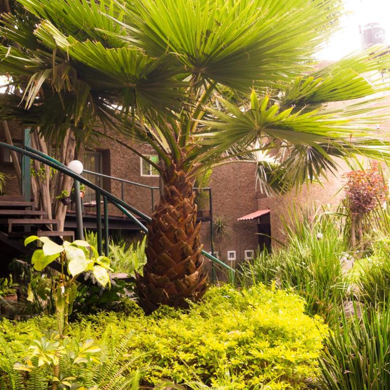 Suite 3B La Paz, Welcome to San Angel - Apartamento - 16