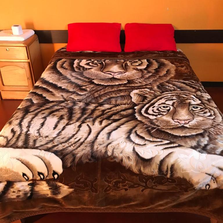 Tour Hostal Wanka - Habitación Doble con baño privado - 3