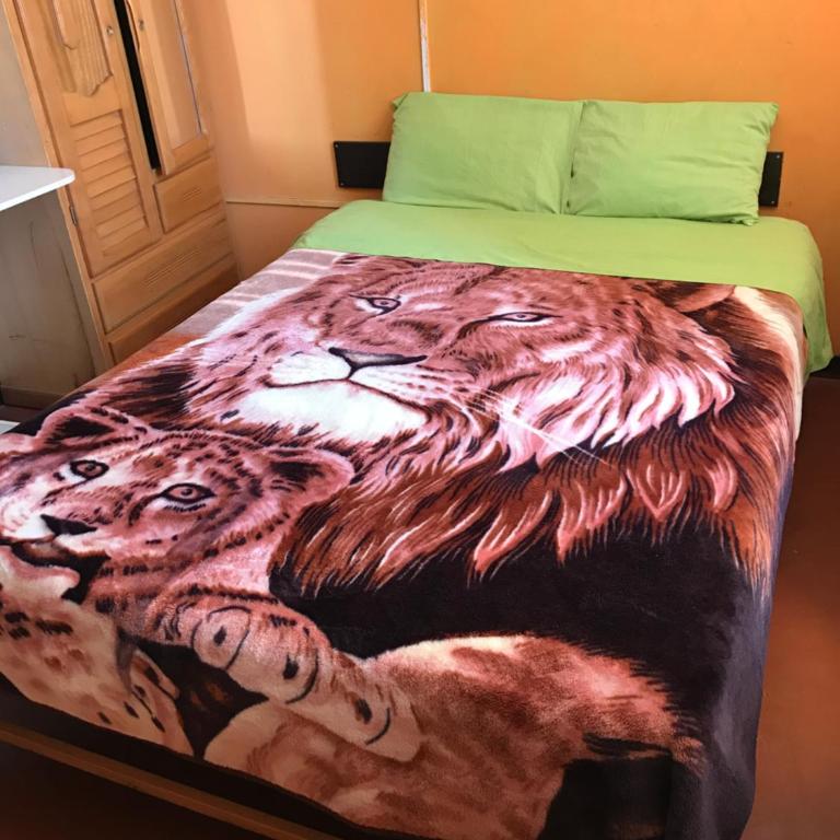 Tour Hostal Wanka - Habitación Doble con baño privado - 1