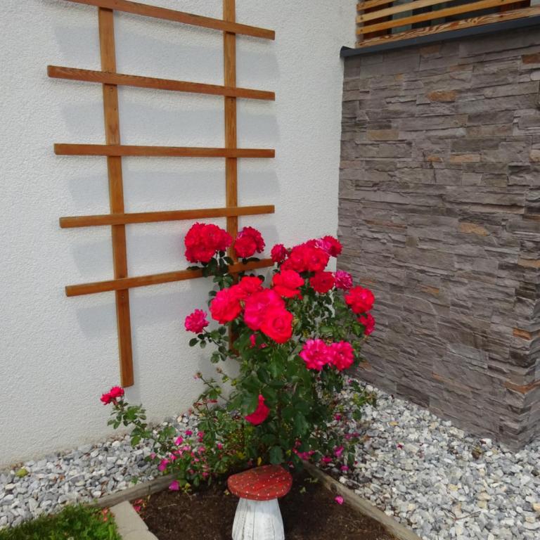 Haus Lienbacher - Appartement 2 Chambres - 28
