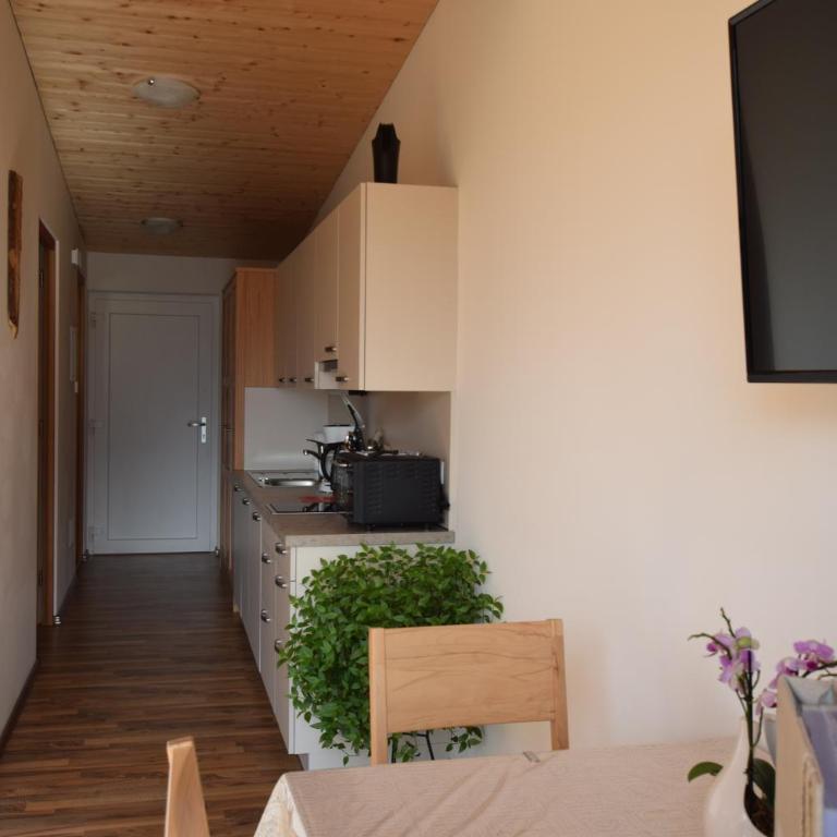Garnhof - Appartamento con 1 Camera da Letto, Balcone e Vista Montagna - 13