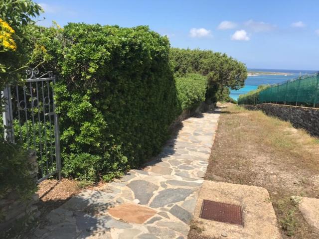 Casa La Pelosa Beach - Casa - 4