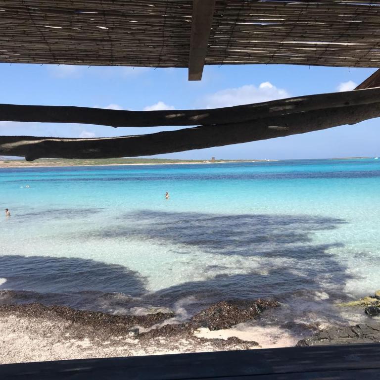 Casa La Pelosa Beach - Casa - 7