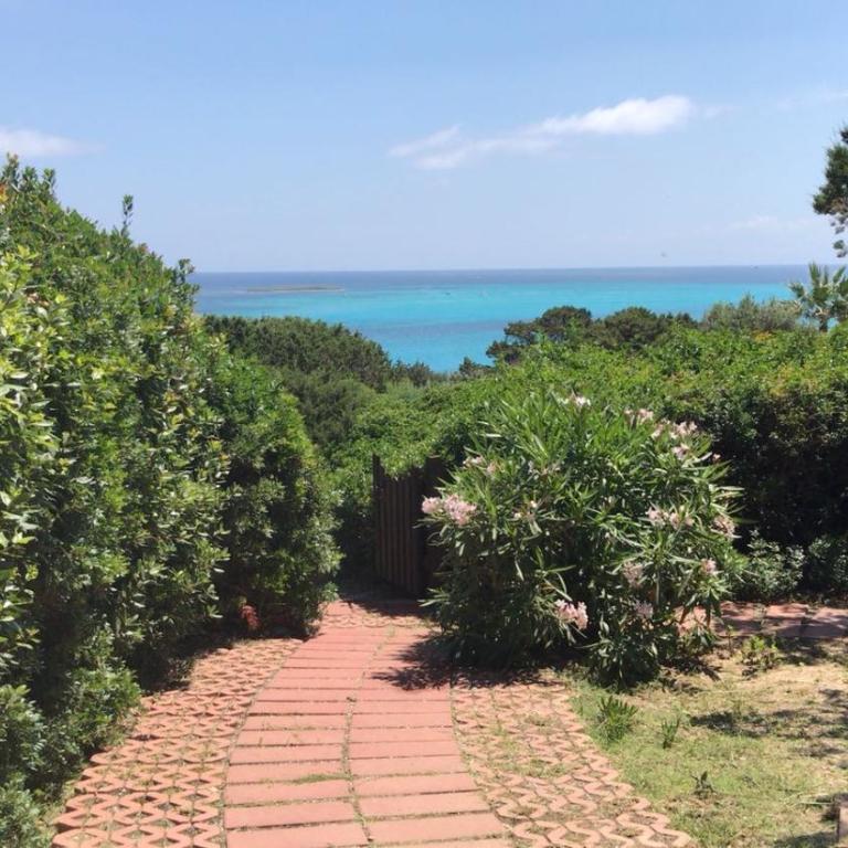 Casa La Pelosa Beach - Casa - 20