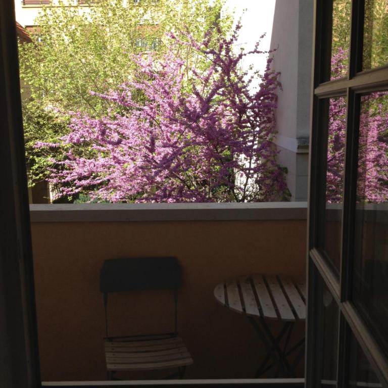 Le Croix Rousse Jacquard - Appartement - 19