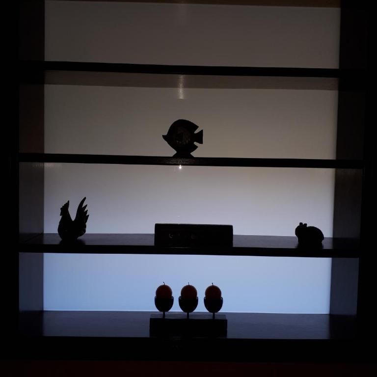 villa giulia - Appartamento - 23