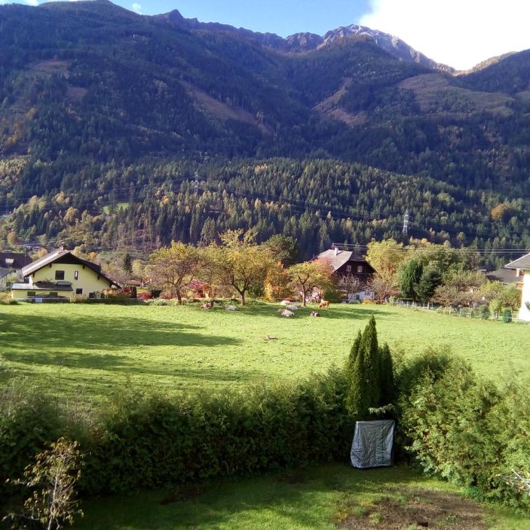 Haus Kolbnitz - Vierbettzimmer mit Bergblick - 3