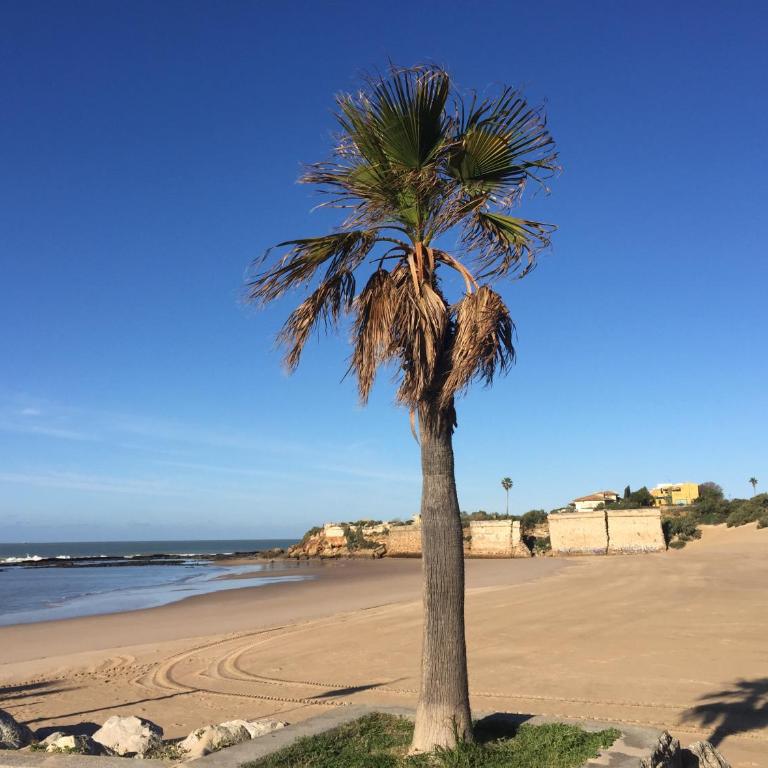 Wix Playa Puerto Sherry - Apartamento con vistas al mar - 19