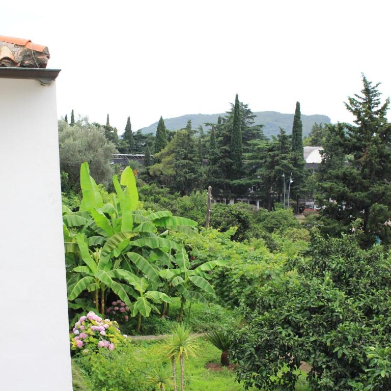 Villa Vojnic - Porodični Apartman Tipa "Suite" sa Balkonom - 18