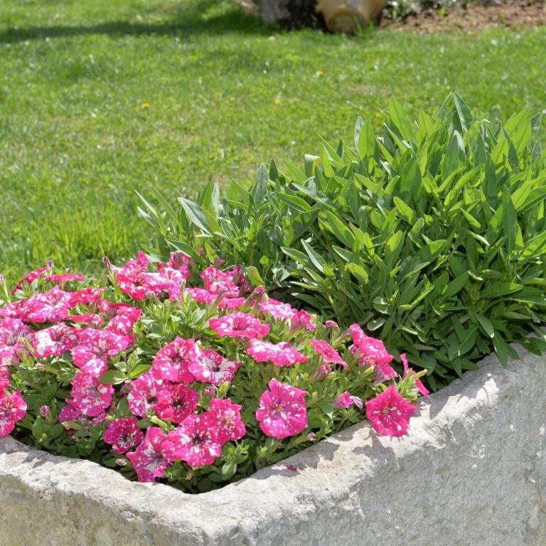 Astra - Suite Trullo - 28