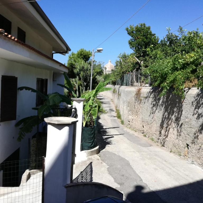 La Cycas Accommodation - Studio - 25
