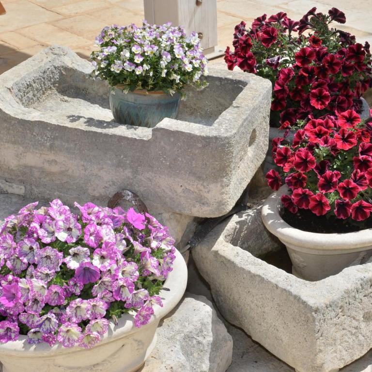 Astra - Suite Trullo - 24