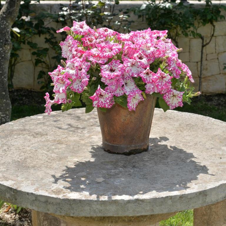 Astra - Suite Trullo - 31