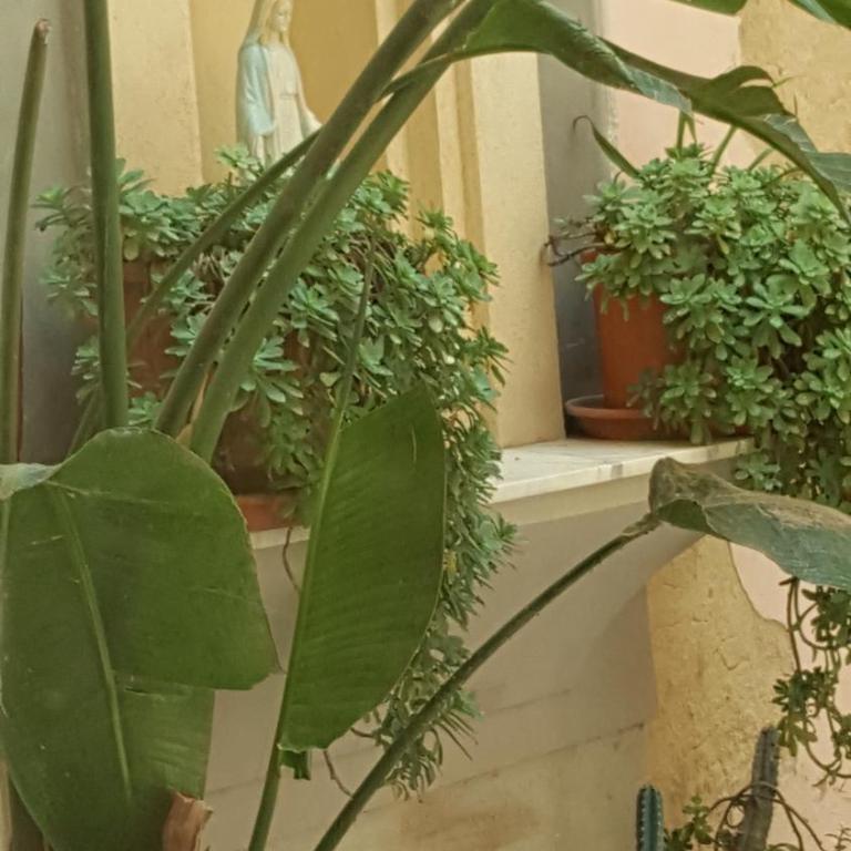 Casa Turismo "Madonna del Paradiso" - Casa Vacanze - 23
