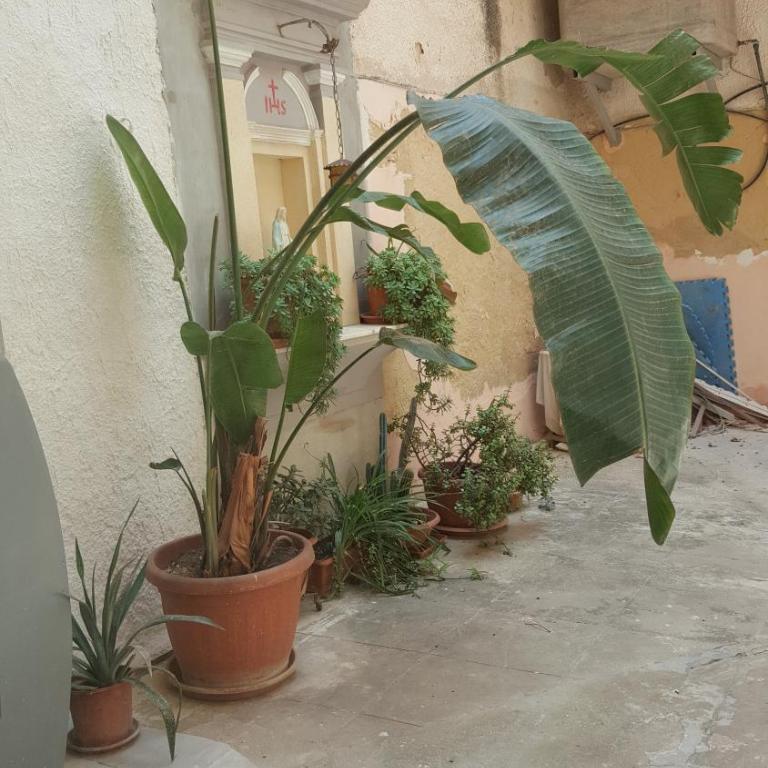 Casa Turismo "Madonna del Paradiso" - Casa Vacanze - 22