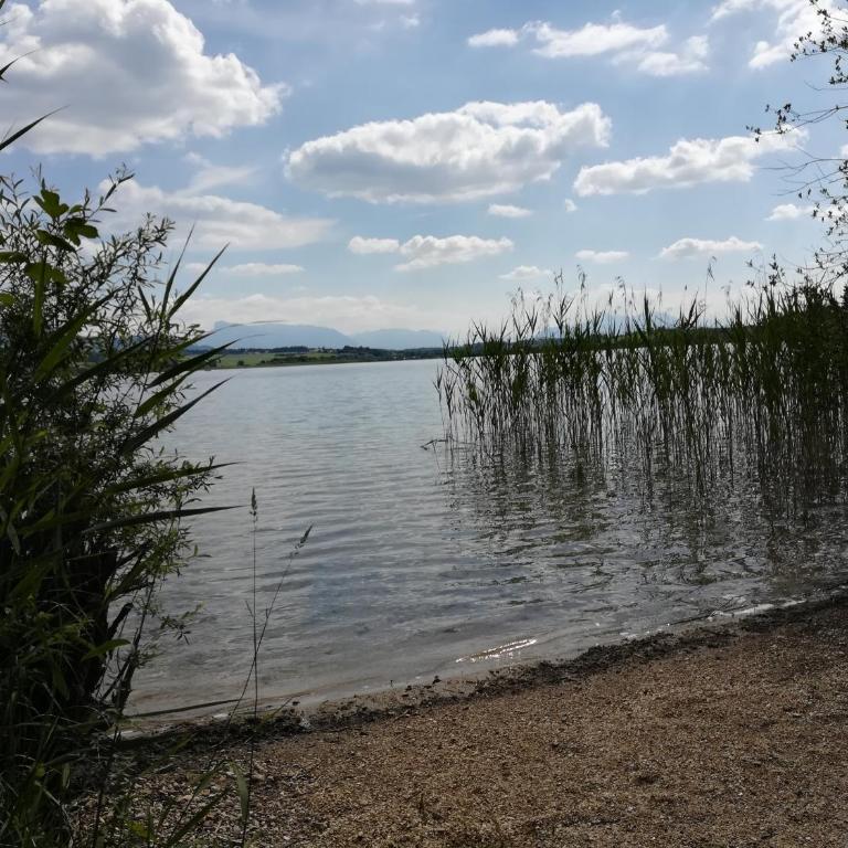 Am See 90 - Casa - 5