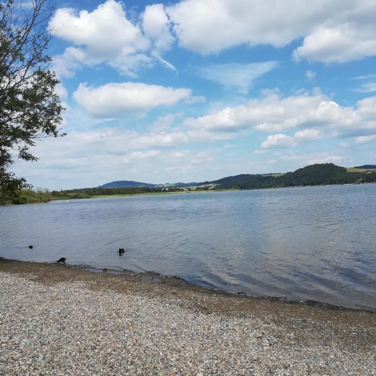 Am See 90 - Casa - 4
