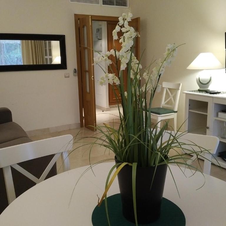 Apartment Andalusia - Apartamento - 7